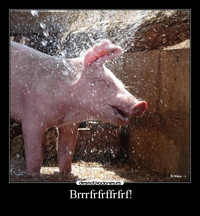 carteles aburrimiento nart desmotivaciones