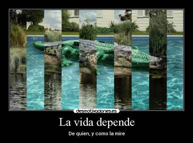 carteles vida guillari desmotivaciones