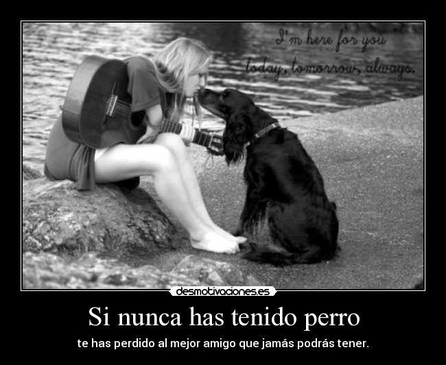 Si nunca has tenido perro - 