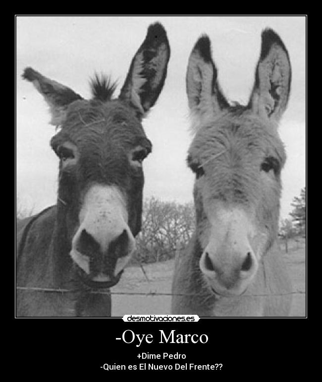 -Oye Marco -