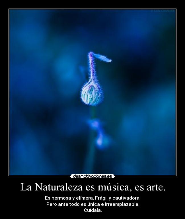 La Naturaleza es música, es arte. -