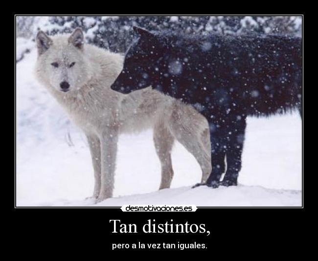 Tan distintos, -