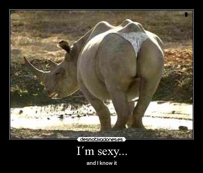 I´m sexy... - and I know it