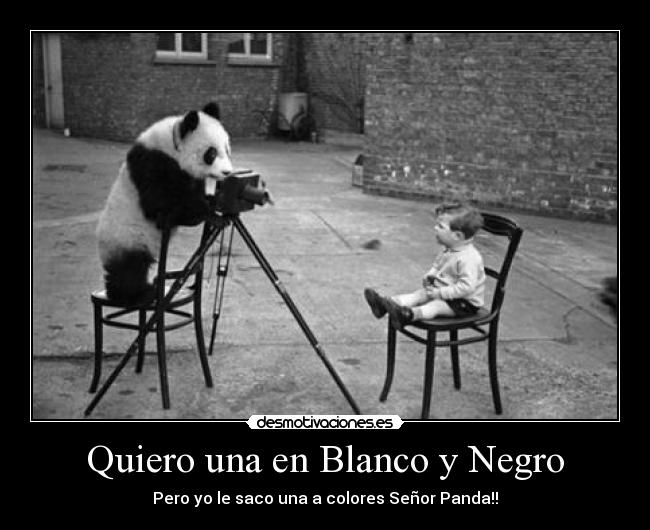 Quiero una en Blanco y Negro - Pero yo le saco una a colores Señor Panda!!