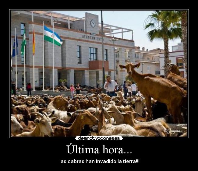 Última hora... - las cabras han invadido la tierra!!!