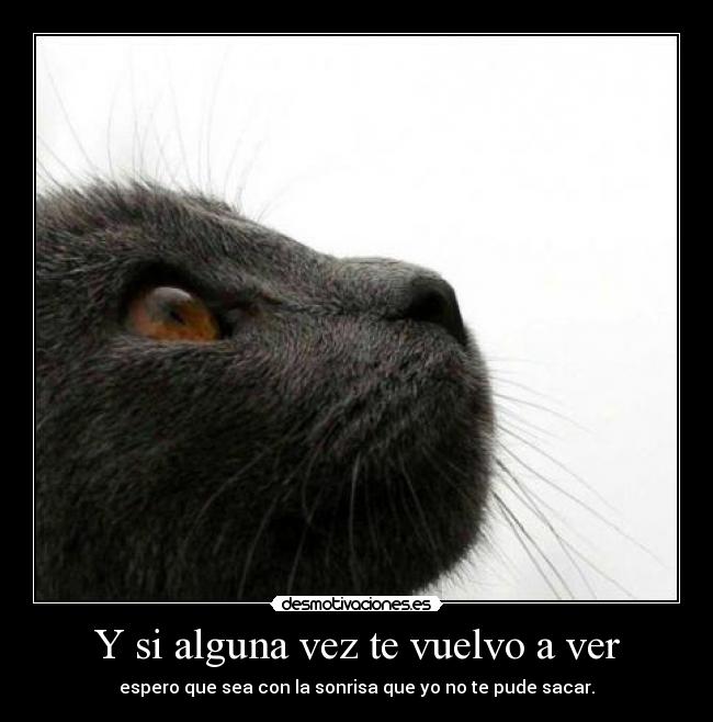 Y si alguna vez te vuelvo a ver - espero que sea con la sonrisa que yo no te pude sacar.