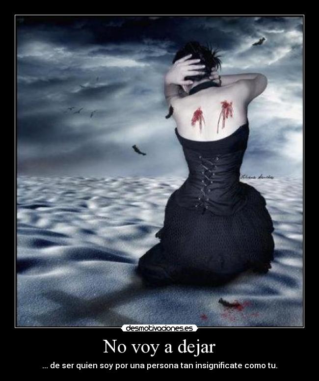 No voy a dejar -