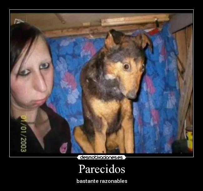 Parecidos - 