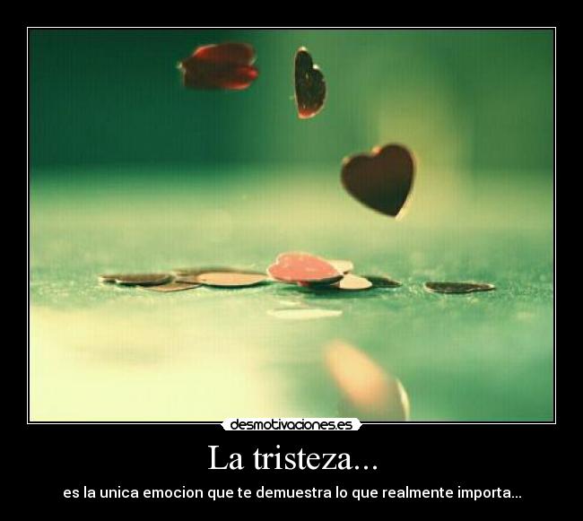 La tristeza... - 