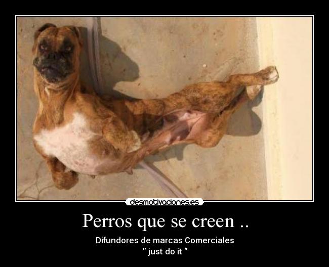 Perros que se creen .. - Difundores de marcas Comerciales
 just do it 