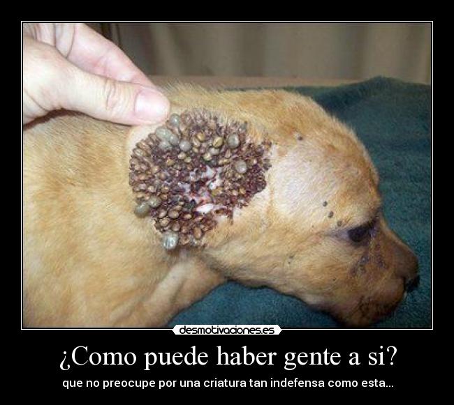 carteles maldad desmotivaciones