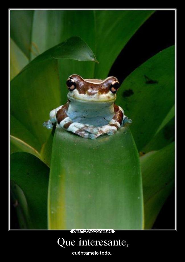 Que interesante, - cuéntamelo todo...
