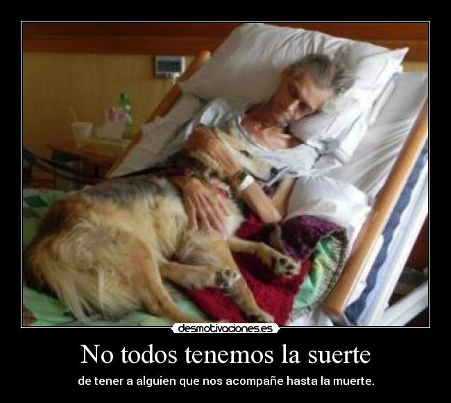 No todos tenemos la suerte -