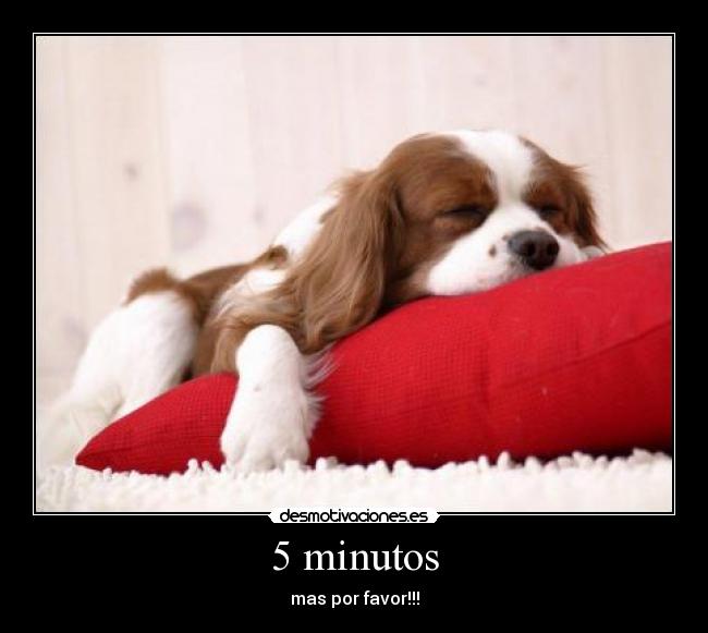 5 minutos - mas por favor!!!
