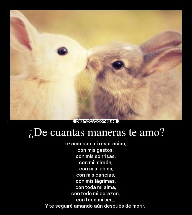 carteles hola desmotivaciones