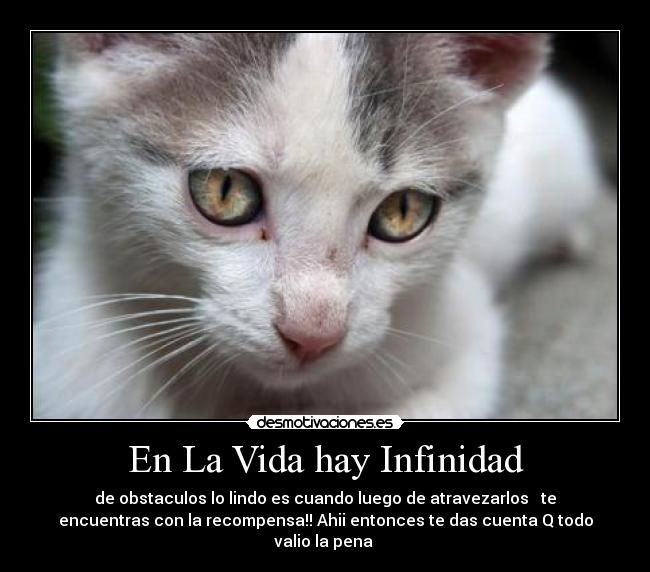 En La Vida hay Infinidad - de obstaculos lo lindo es cuando luego de atravezarlos ♥ te
encuentras con la recompensa!! Ahii entonces te das cuenta Q todo
valio la pena ♥