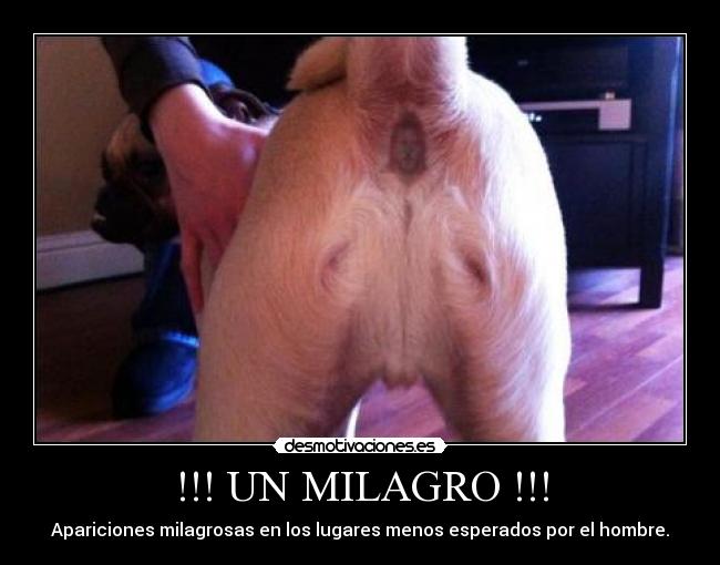 !!! UN MILAGRO !!! - 