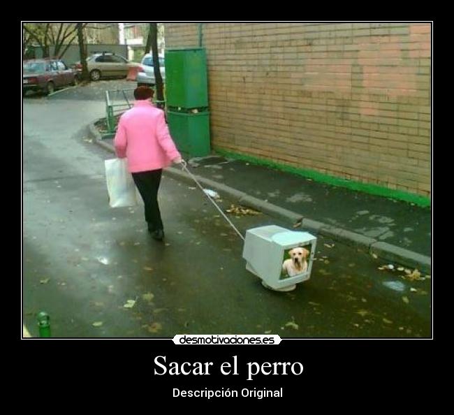 Sacar el perro - Descripción Original