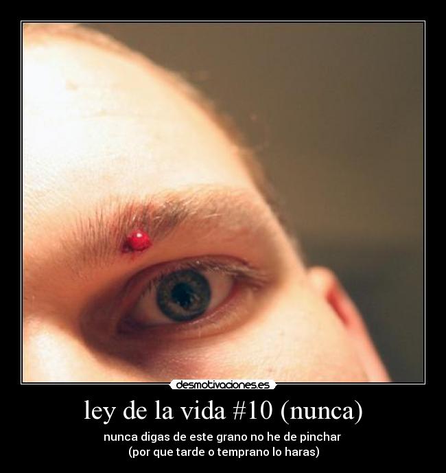 ley de la vida #10 (nunca) - nunca digas de este grano no he de pinchar
(por que tarde o temprano lo haras)