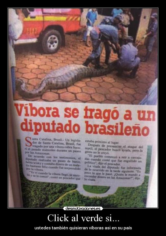 Click al verde si... - ustedes también quisieran víboras asi en su país
