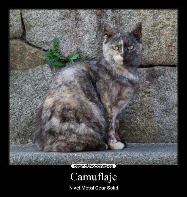 Camuflaje - Nivel:Metal Gear Solid