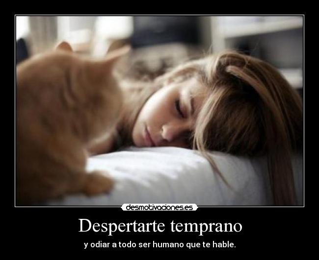 carteles despertar temprano odiar ser humano que hable gatoschica torrada desmotivaciones