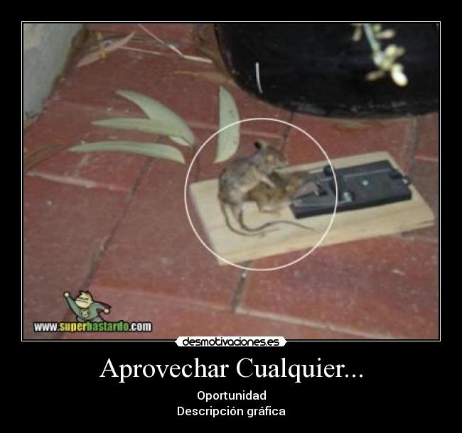 Aprovechar Cualquier... -
