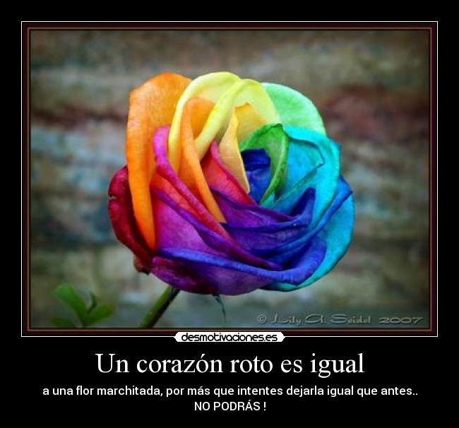 Un corazón roto es igual - a una flor marchitada, por más que intentes dejarla igual que antes.. NO PODRÁS !