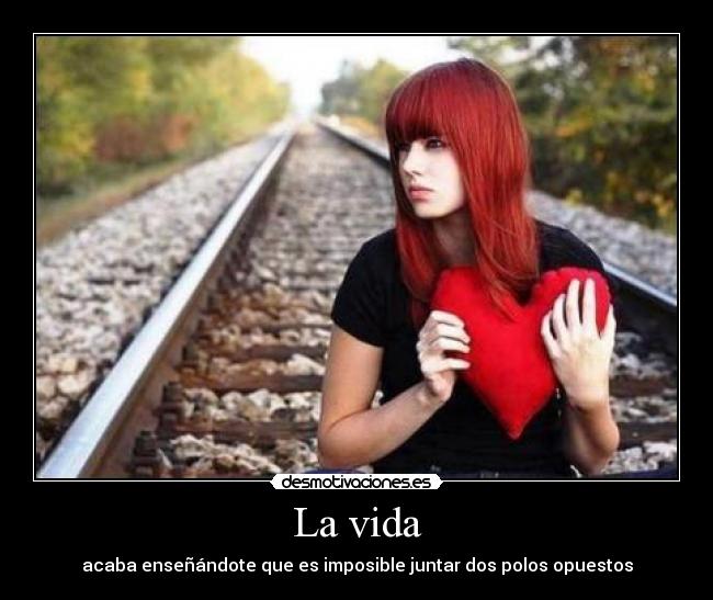 La vida - 