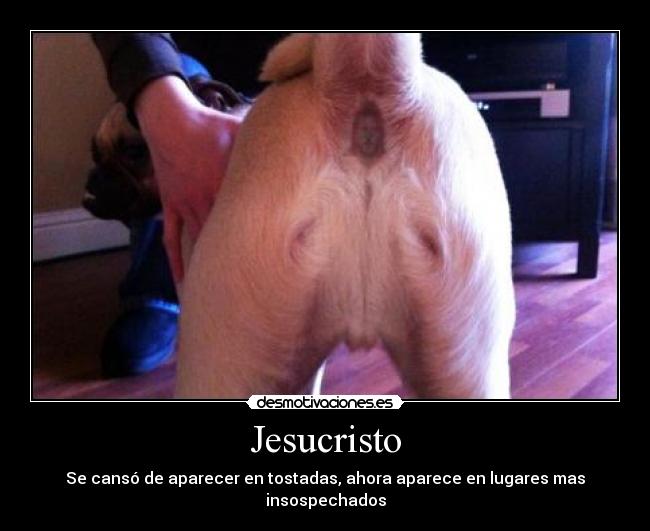 Jesucristo - Se cansó de aparecer en tostadas, ahora aparece en lugares mas insospechados