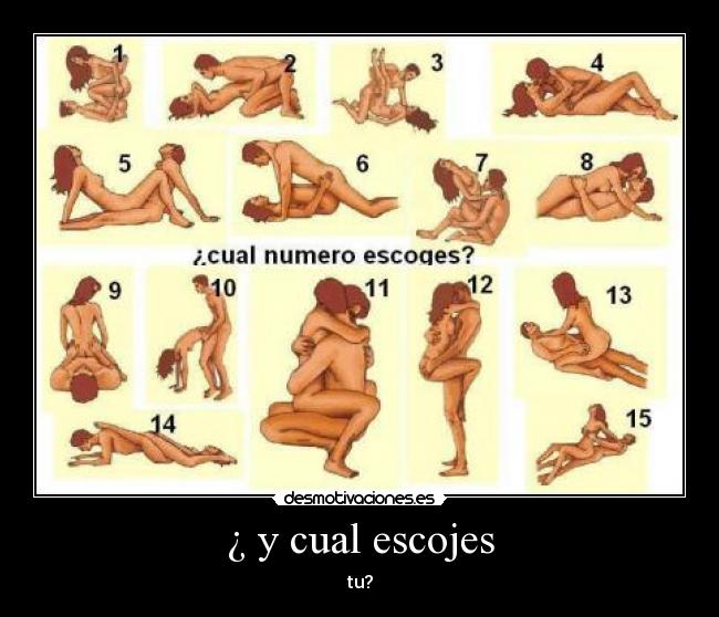 ¿ y cual escojes - tu?