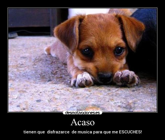 carteles lupuz desmotivaciones