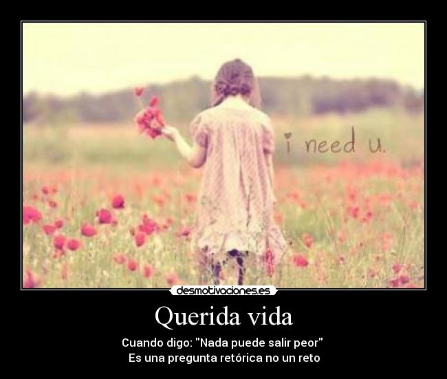 Querida vida -