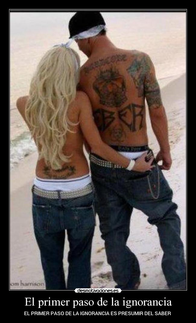 carteles ignorancia kaatyna desmotivaciones