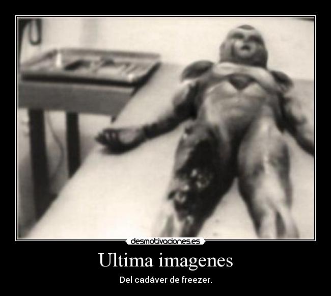 Ultima imagenes -