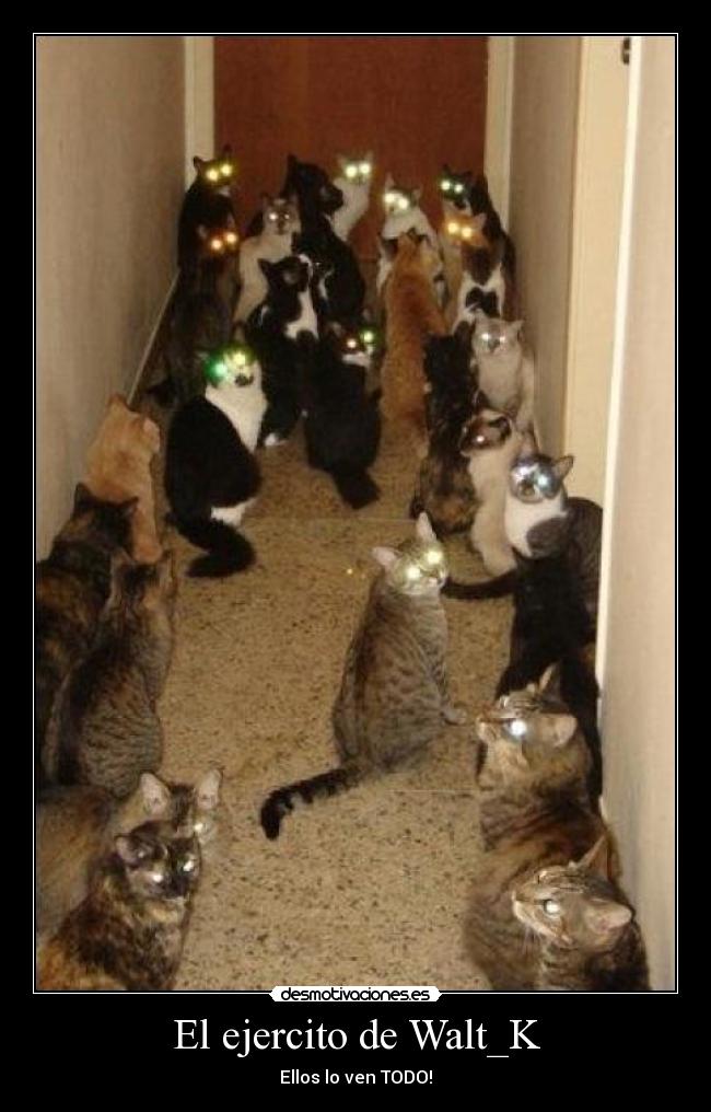 El ejercito de Walt_K - 