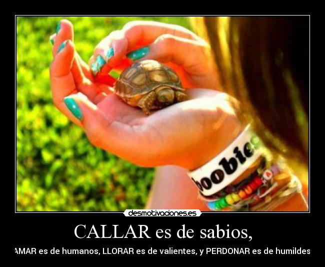 carteles calla ama llora perdona desmotivaciones