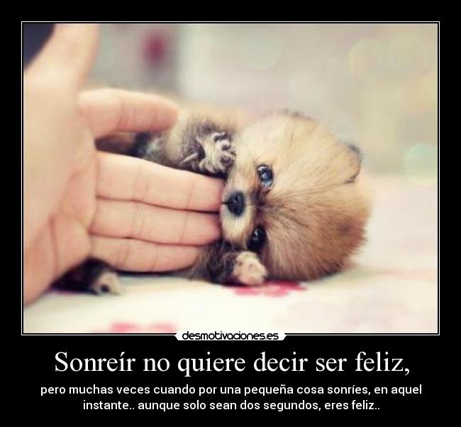 carteles ser feliz desmotivaciones