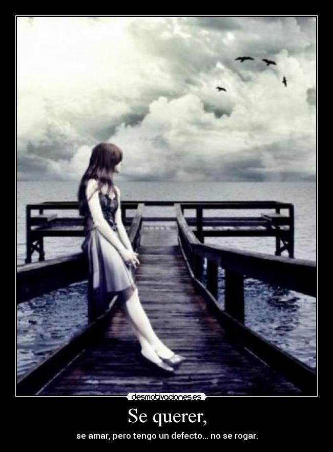 Se querer, - se amar, pero tengo un defecto... no se rogar.