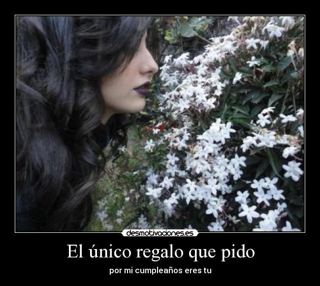 carteles unico regalo que pido desmotivaciones