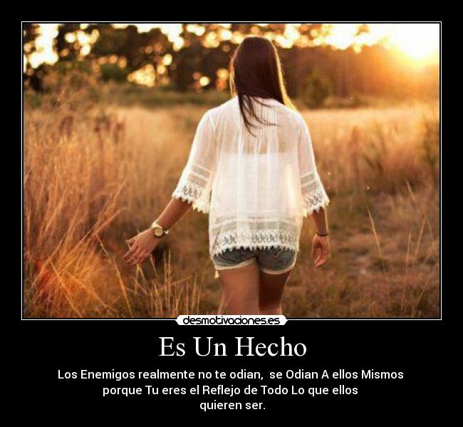 Es Un Hecho - Los Enemigos realmente no te odian, se Odian A ellos Mismos
porque Tu eres el Reflejo de Todo Lo que ellos
quieren ser.