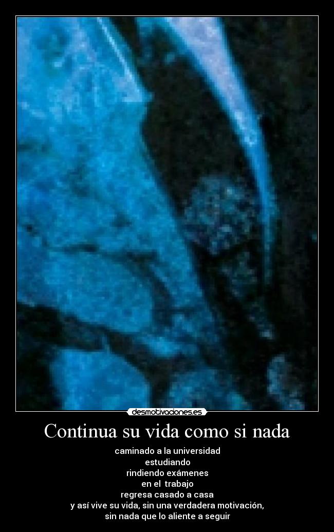Continua su vida como si nada -