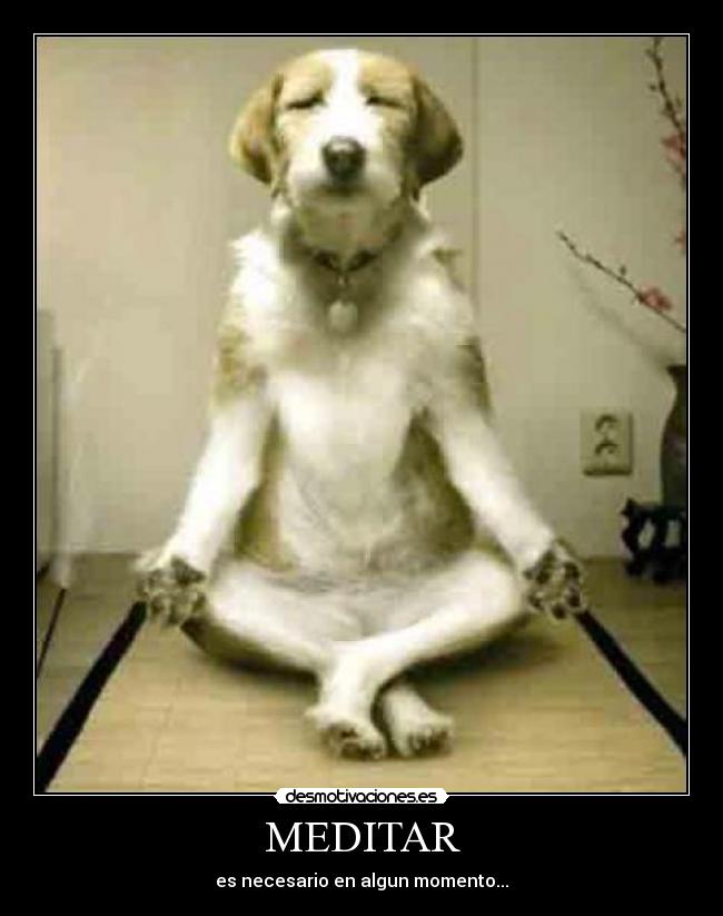 MEDITAR -