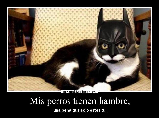 Mis perros tienen hambre, -
