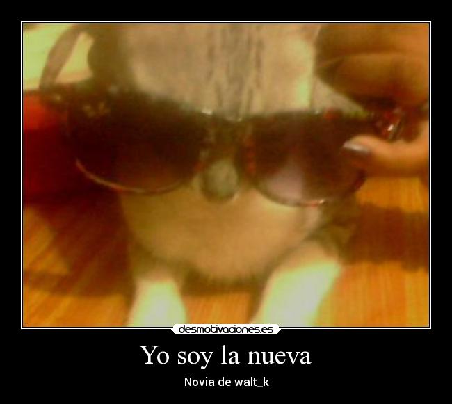 Yo soy la nueva -
