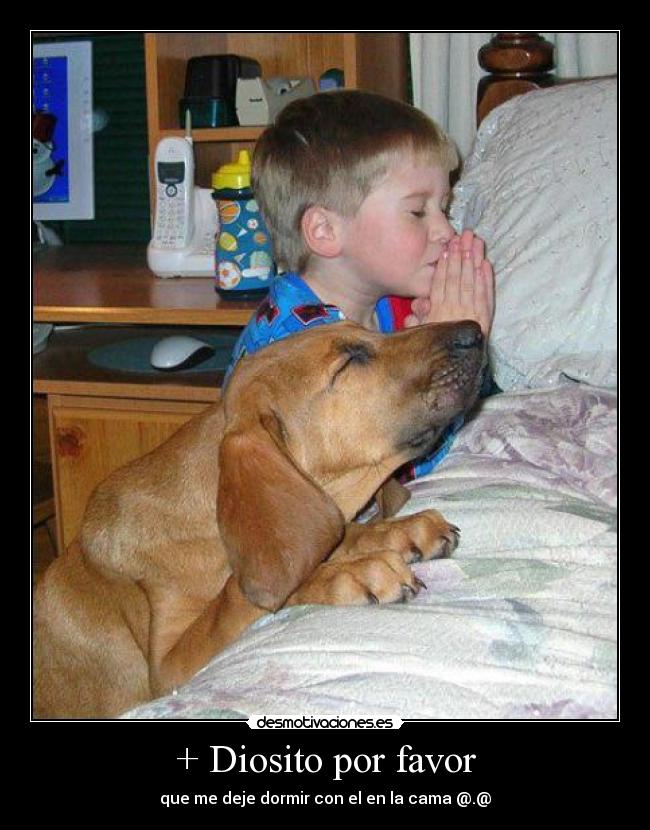 + Diosito por favor - que me deje dormir con el en la cama @.@