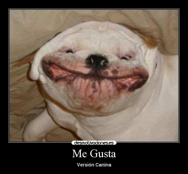 Me Gusta -
