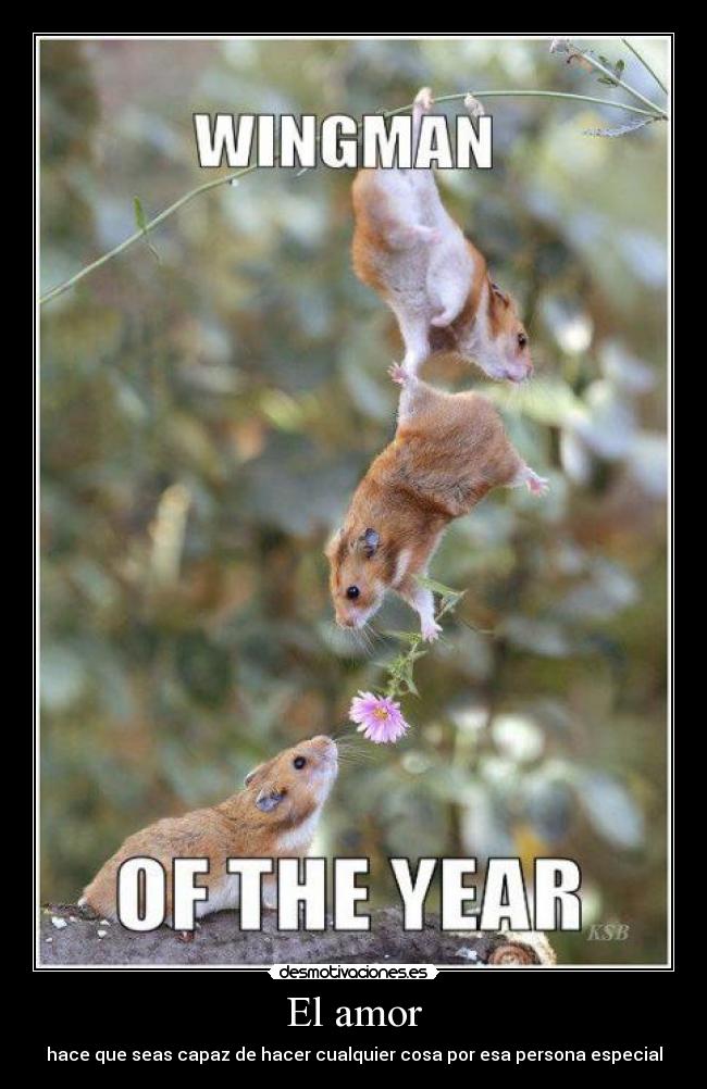 El amor - hace que seas capaz de hacer cualquier cosa por esa persona especial