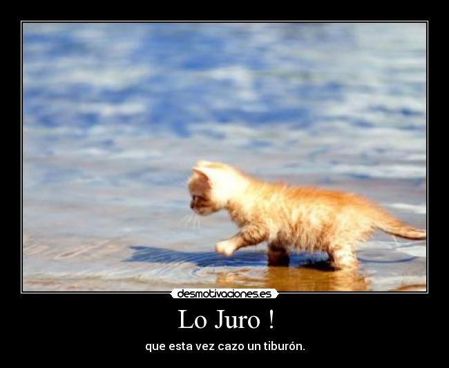 Lo Juro ! - 