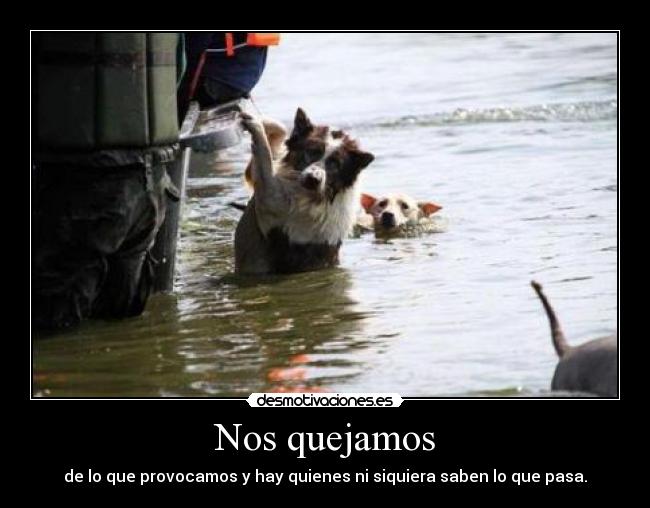 Nos quejamos - 